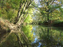Landschaft nahe der Pegnitz