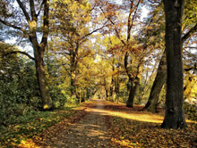 Ein Oktober-Tag am Dutzendteich
