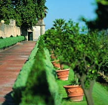 Quinta da Bacalhoa in Vila Fresca