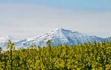 Rigi