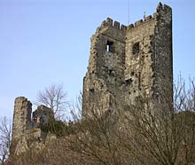 Die Burgruine auf dem Drachenfels
