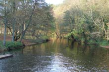 Alsterlauf bei der Mellinburger Schleuse