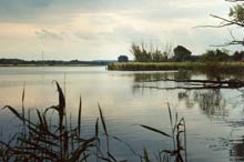 Altes Land