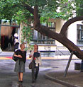 Tour durch Berlin