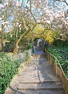 Treppenviertel Blankenese im Fr&uuml;hling
