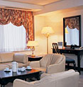 Hotel Aerostar Moscow