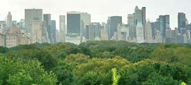 New Yorks gr&uuml;ne Lungen