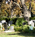 Wien und der Tod
