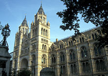 Natural History Museum 