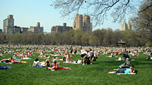Central Park in New York