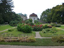 Botanischer Garten 