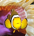 Sea Life Berlin