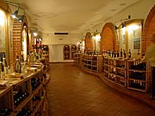 Keller im Haus der ungarischen Weine