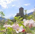 Dorf Tirol - Urlaub in Meran