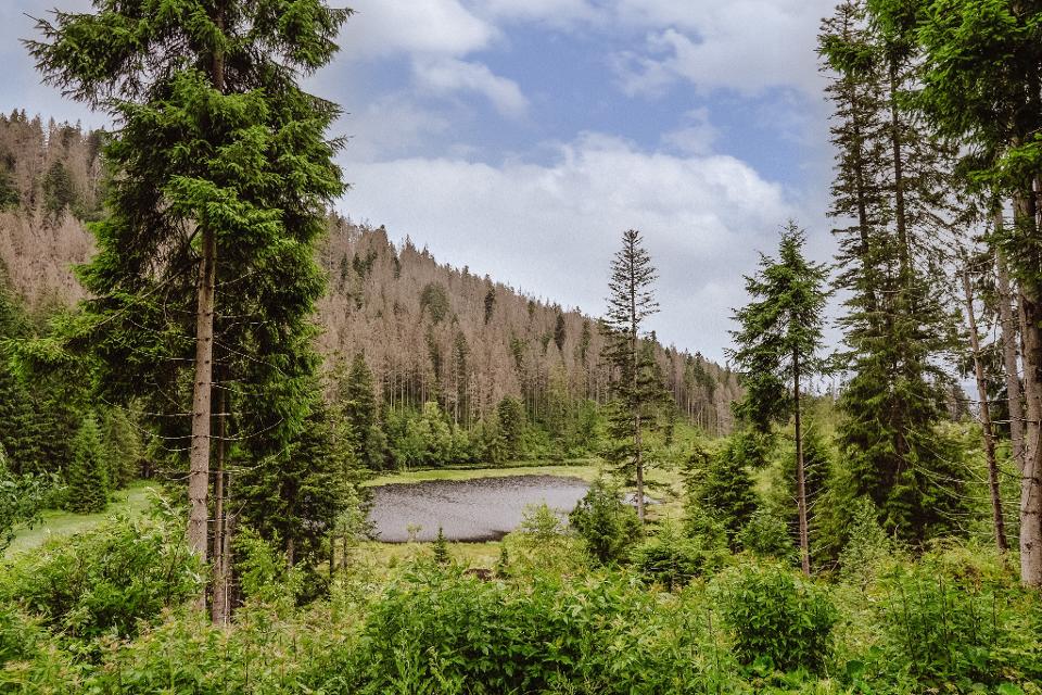 Huzenbacher SeeHuzenbacher See
