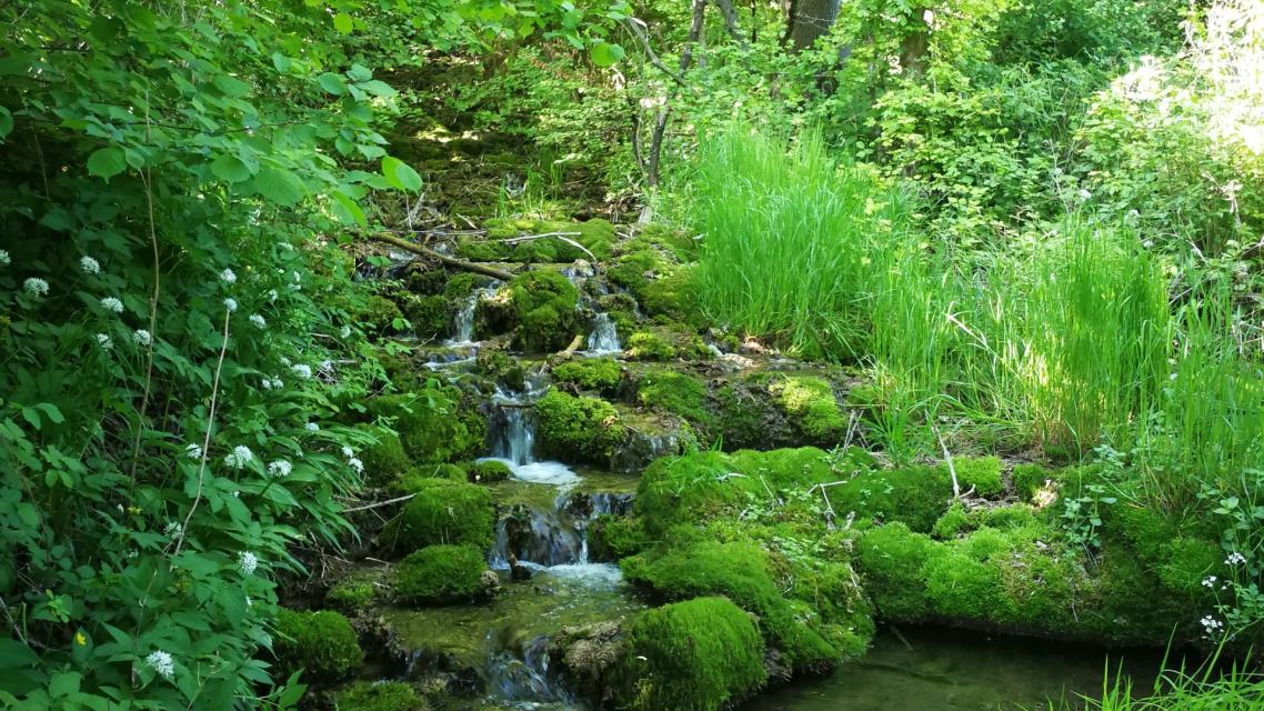 Sinterterrassen Tiefenellern