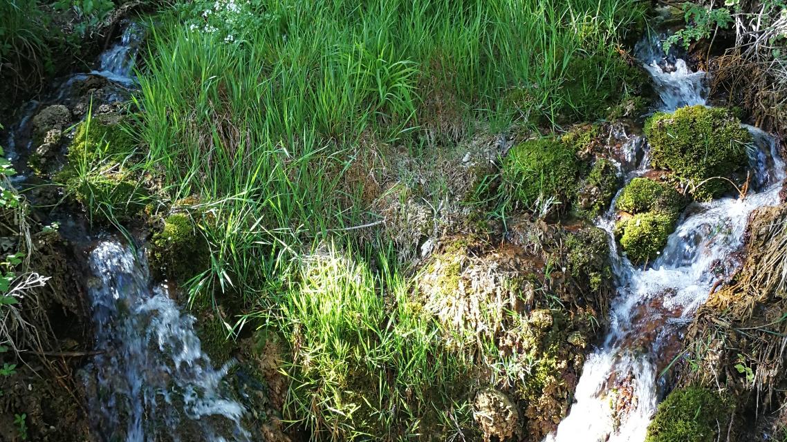 Sinterterrassen Tiefenellern