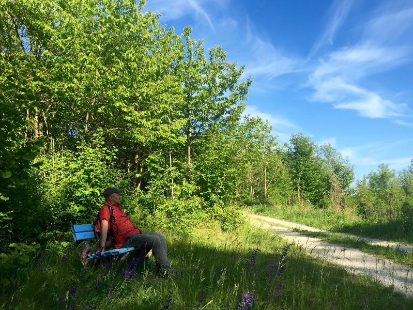 Nördliches Ellertal – Rundweg am Stammberg