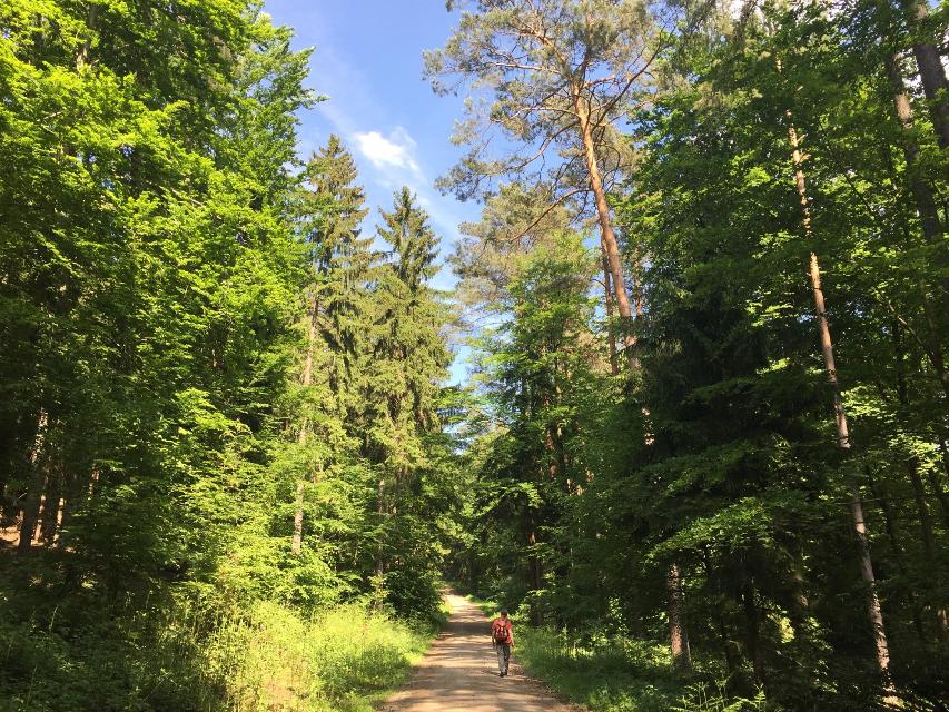 Nördliches Ellertal – Rundweg am Stammberg