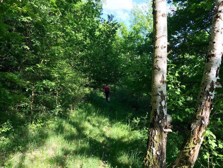 Nördliches Ellertal – Rundweg am Stammberg