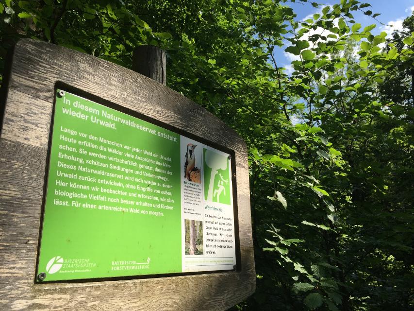 Nördliches Ellertal – Rundweg am Stammberg