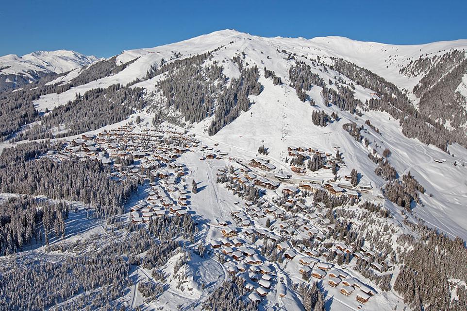 Bild Wald-Königsleiten
