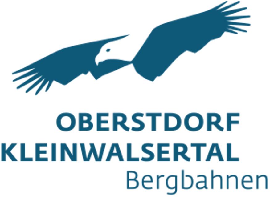 Logo Skigebiet Kleinwalsertal - Oberstdorf