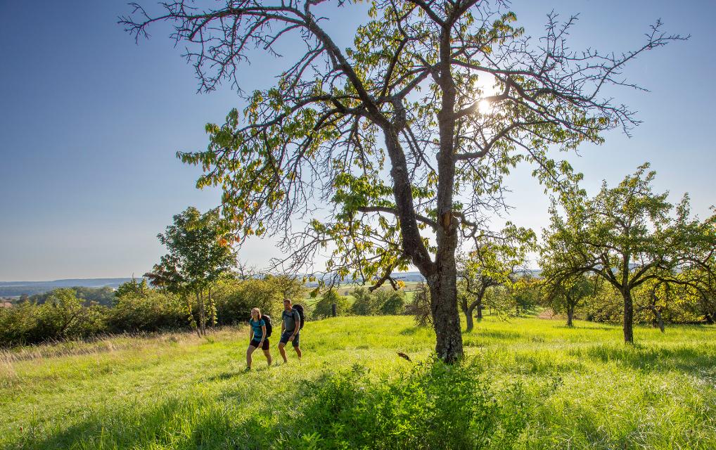 Wandern in der Region Haßberge