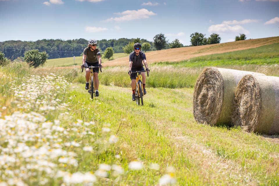 Mountainbikefahrer in der Haßberger Natur