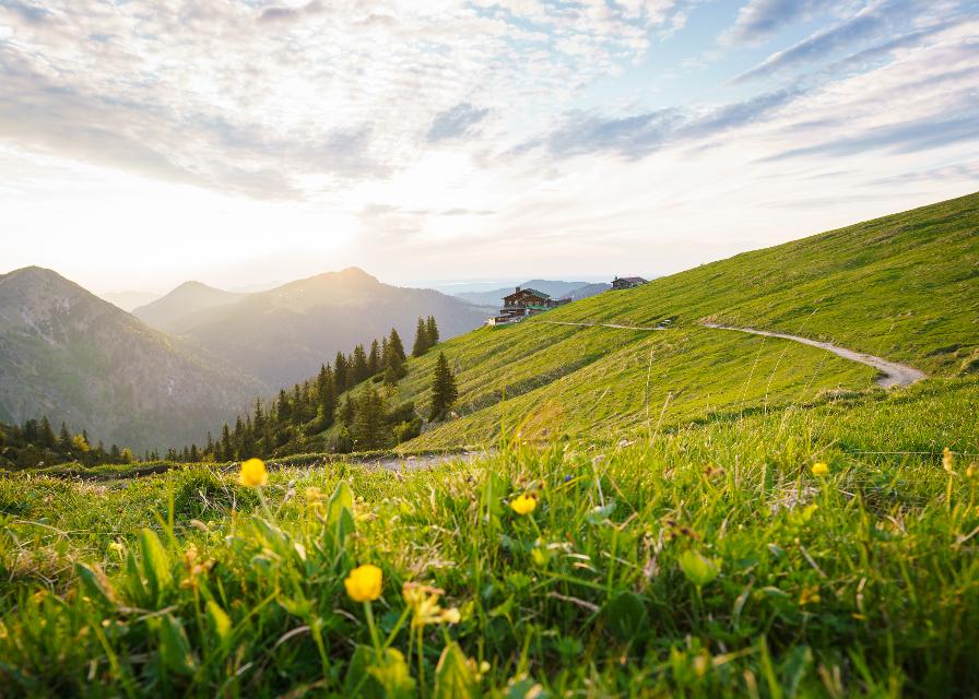 Hirschberghaus und Bergwiese kurz nach Sonnenuntergang
