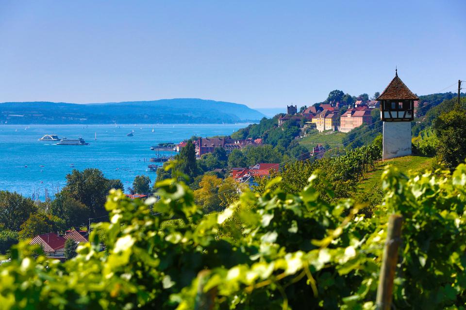 Weinberge bei Meersburg