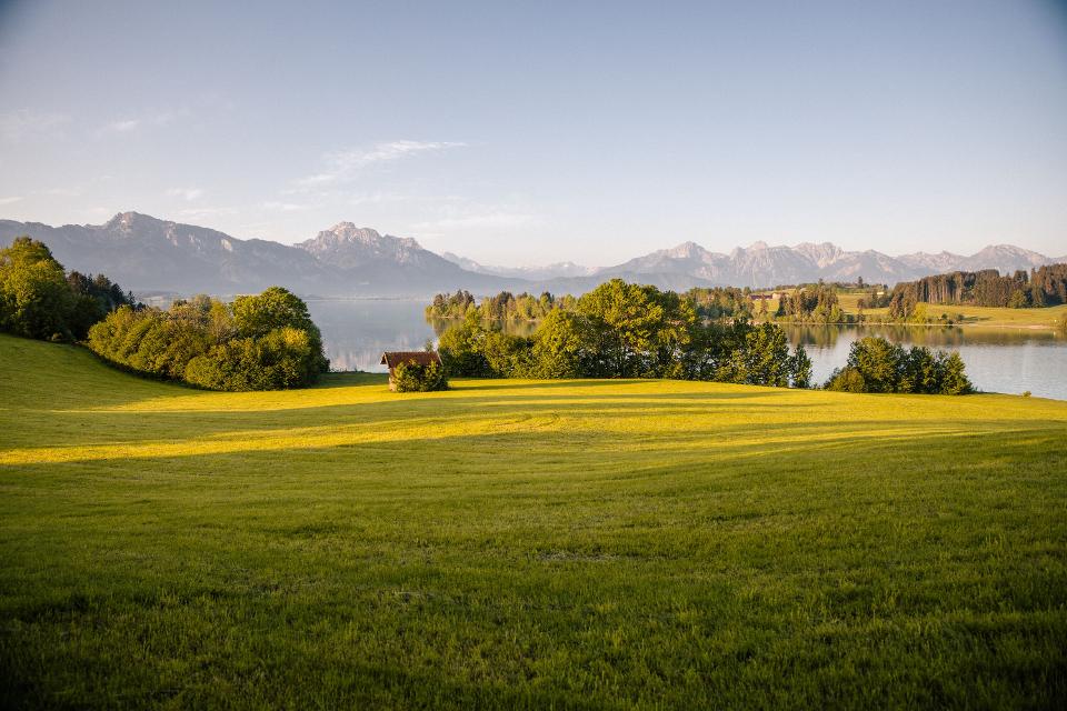 Am Ufer des Forgensees