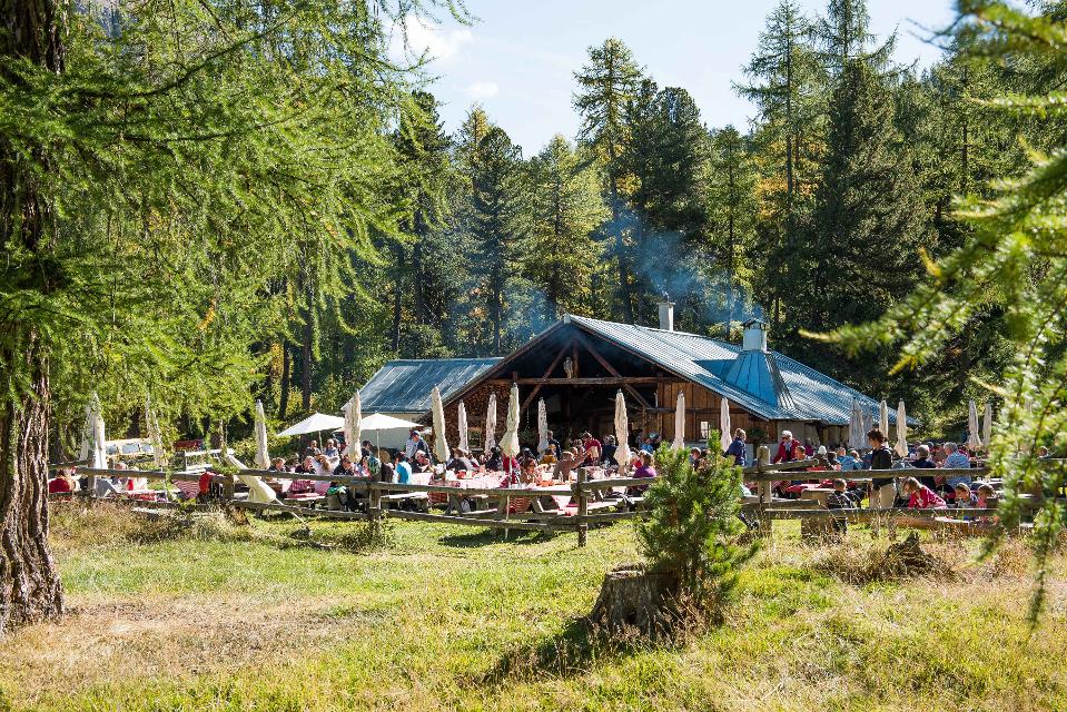 Beim Alpbrunch  in der Alpschaukaeserei Morteratsch genießt man unter freiem Himmel ein reichhaltiges regionales Fruehstuecksbuffet, umgeben von frischer Bergluft auf einer Sonnenterasse inmitten der 