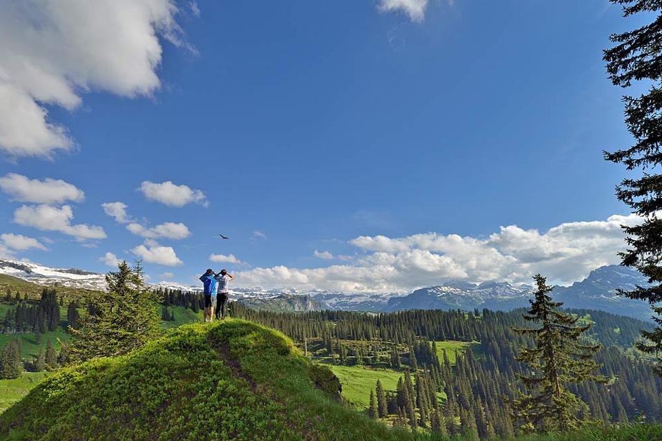 Blick auf den Bödmeren-Urwald bei Muotathal