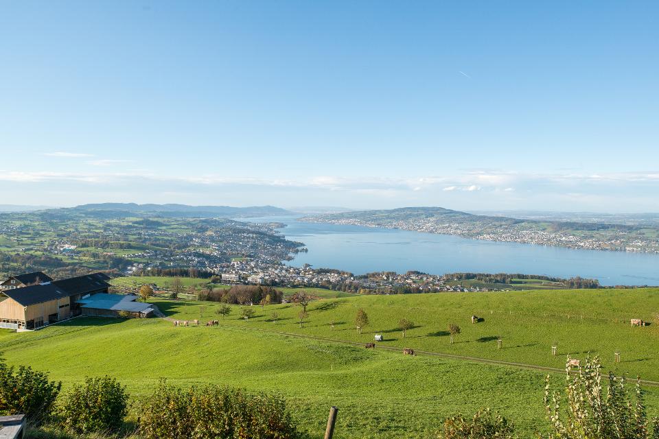 Wanderung am Zürichsee