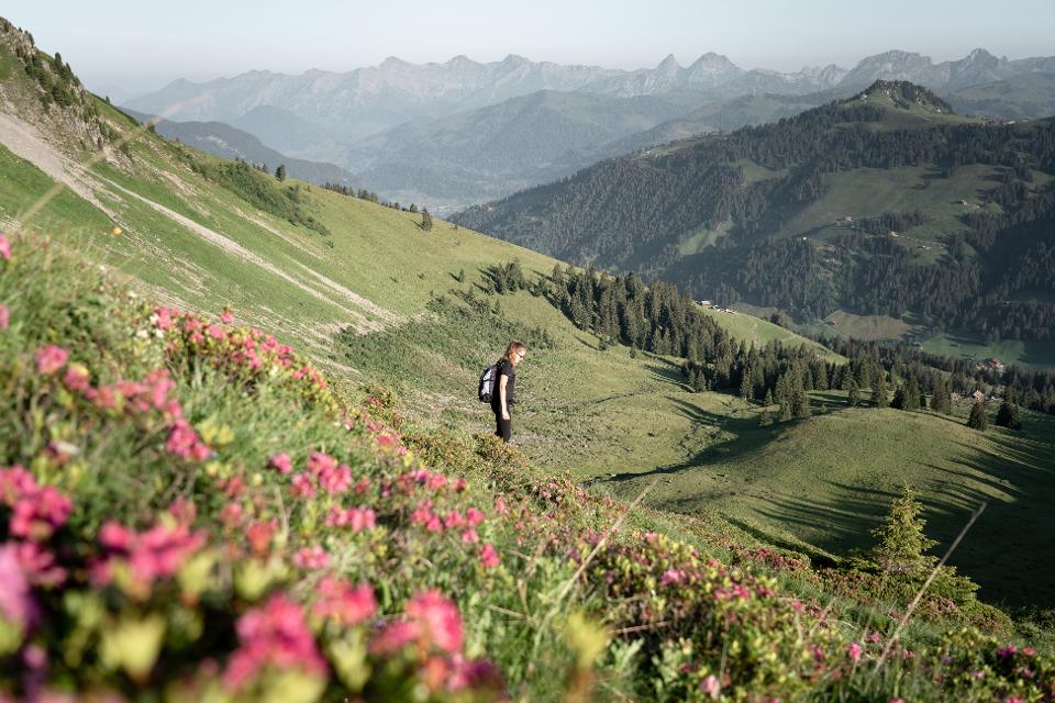 Wanderung am Giferspitz
