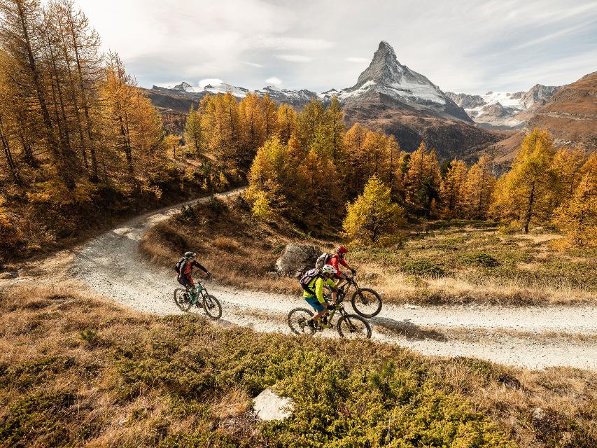 Mountainbiker vor herbstlicher Matterhorn-Kulisse