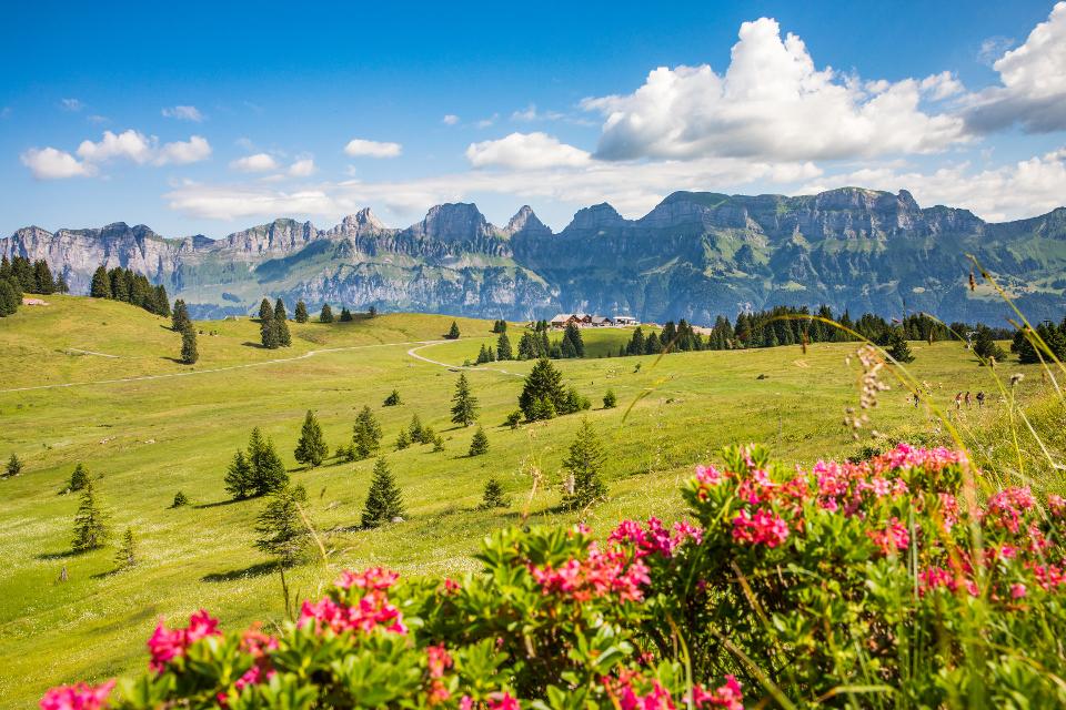 Bergfrühling mit Blick auf die Churfirsten