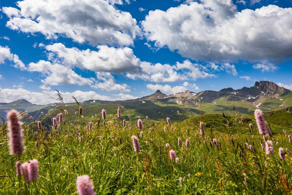 Frühling am Flumserberg