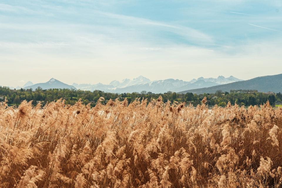 Blick vom Mont-Blanc bis zur Perle du Lac