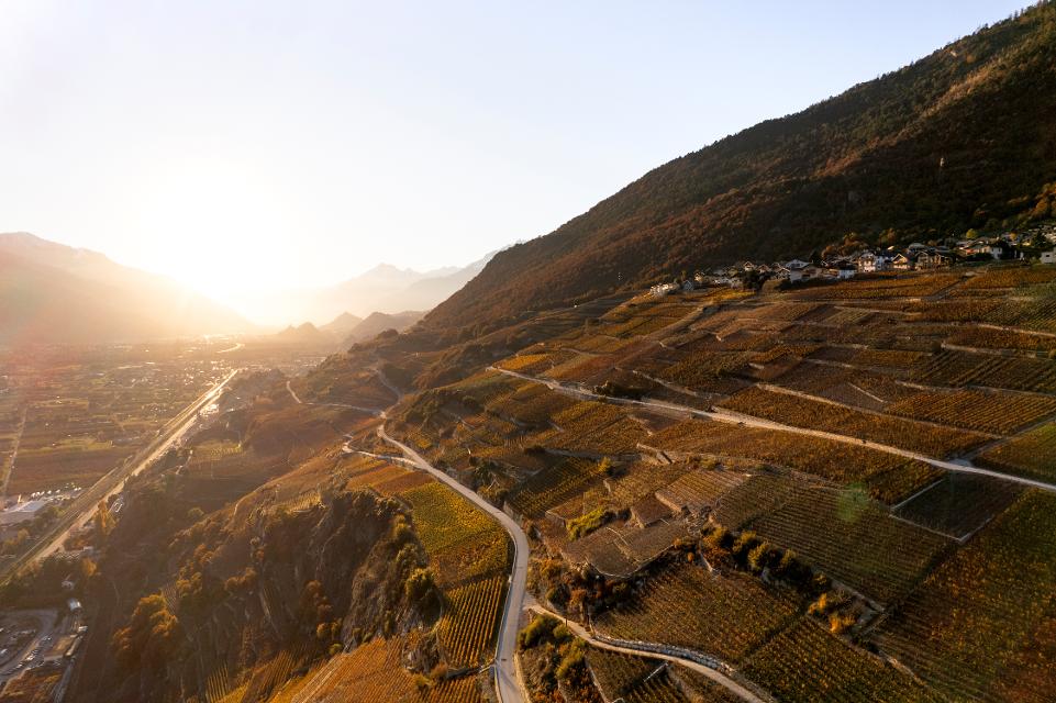 Luftbild Vignoble in Crans-Montana