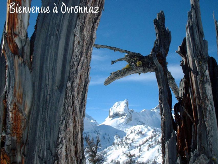 Sicht auf `le Six des Armailles`