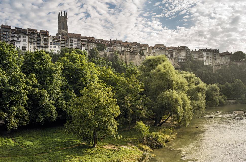 Blick von der Saane auf die Altstadt