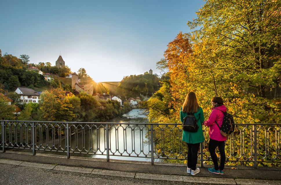 Sicht vom Chemin des Archives Richtung Katzenturm in Freiburg