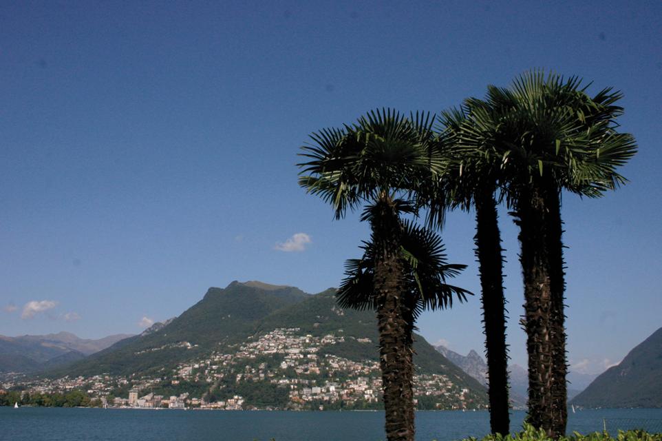 Palmen am Luganer See