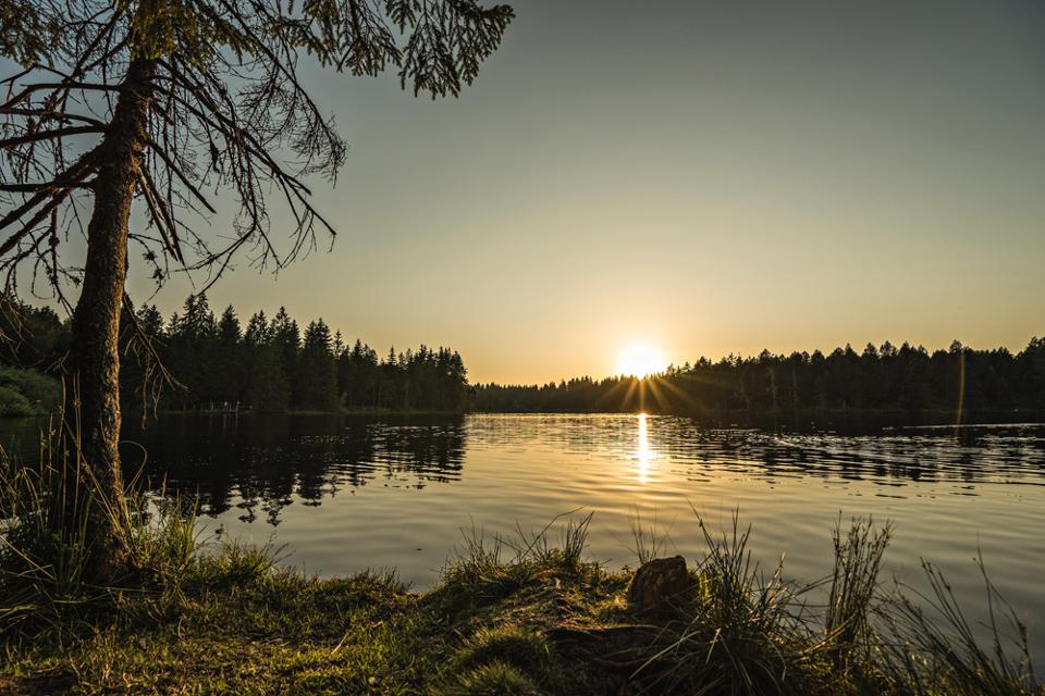 Moorsee bei Tramelan