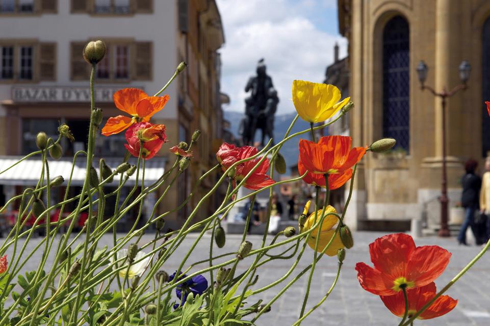 Blumen in der Innenstadt von Yverdon-les-Bains