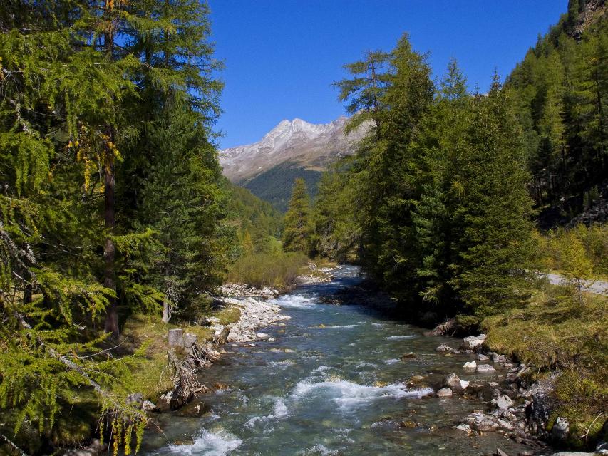 Natur pur in Osttirol