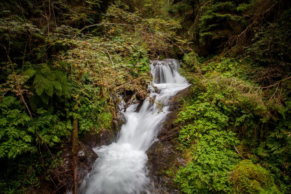 Die Erdpyramiden im Waldertal zwischen Roppen und Arzl im Pitztal, sind kleine Wunder der Natur. Nur unter ganz speziellen Klimabedingungen wittern diese bizarren Türme mit Steinhut aus den Moränen eh