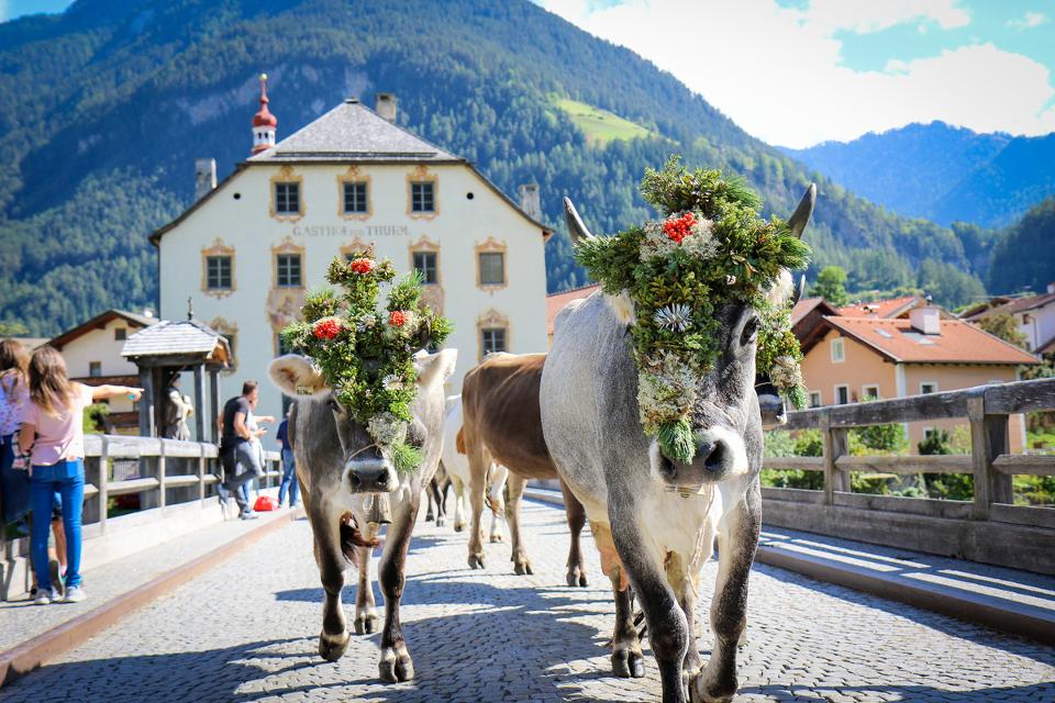 Almabtrieb in Pfunds